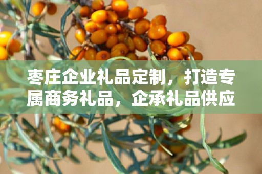 枣庄企业礼品定制，打造专属商务礼品，企承礼品供应链助力企业福利升级