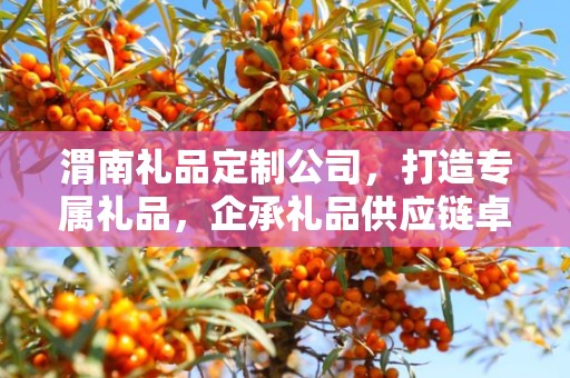 渭南礼品定制公司，打造专属礼品，企承礼品供应链卓越服务