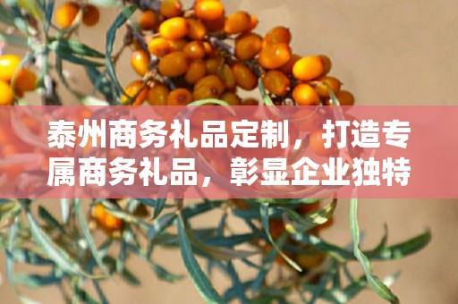 泰州商务礼品定制，打造专属商务礼品，彰显企业独特魅力