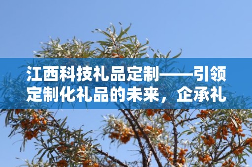 江西科技礼品定制——引领定制化礼品的未来，企承礼品供应链助力商务发展