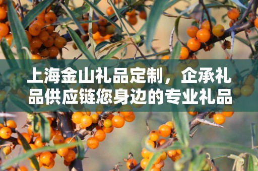 礼品定制学生党，打造独特礼品，引领校园文化新风尚