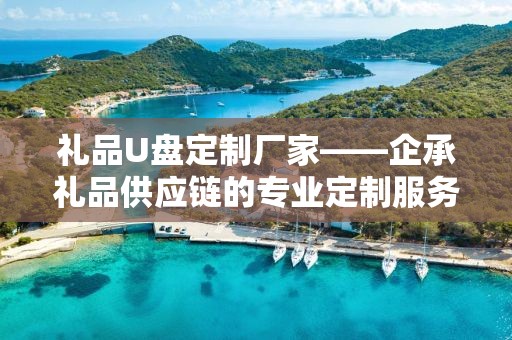 礼品U盘定制厂家——企承礼品供应链的专业定制服务